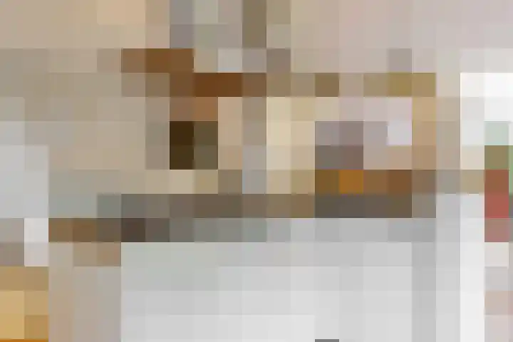Zuiderhout 28 Blokker thumbnail 22