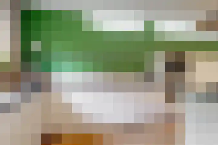 Zuiderhout 28 Blokker thumbnail 23