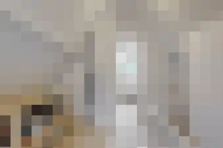 Zuiderhout 28 Blokker thumbnail 39
