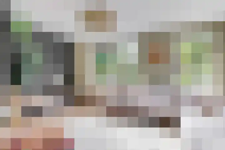 Zuiderhout 28 Blokker thumbnail 4