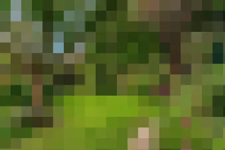Zuiderhout 28 Blokker thumbnail 46