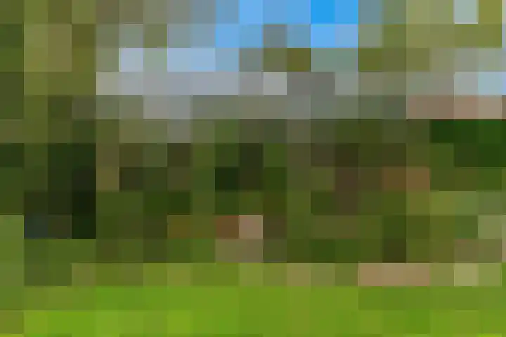 Zuiderhout 28 Blokker thumbnail 49