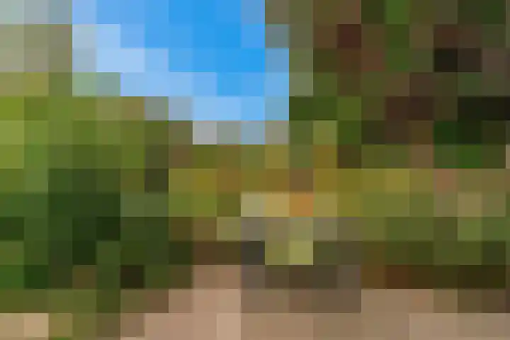 Zuiderhout 28 Blokker thumbnail 51