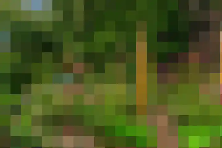 Zuiderhout 28 Blokker thumbnail 52