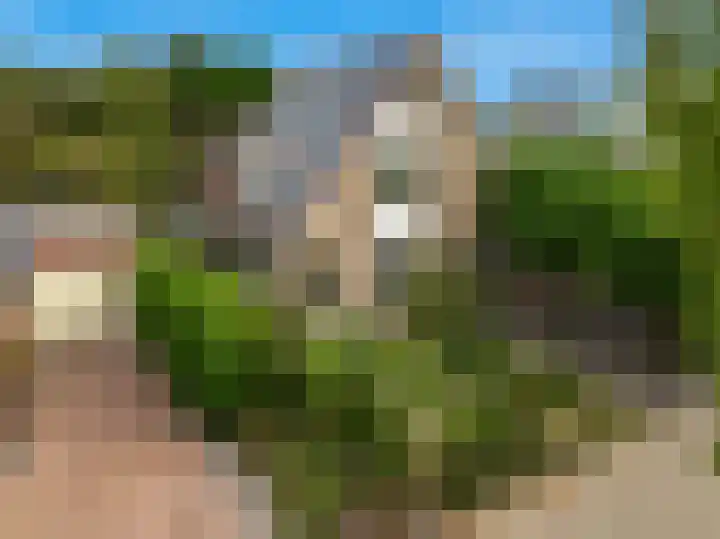 Zuiderhout 28 Blokker thumbnail 55
