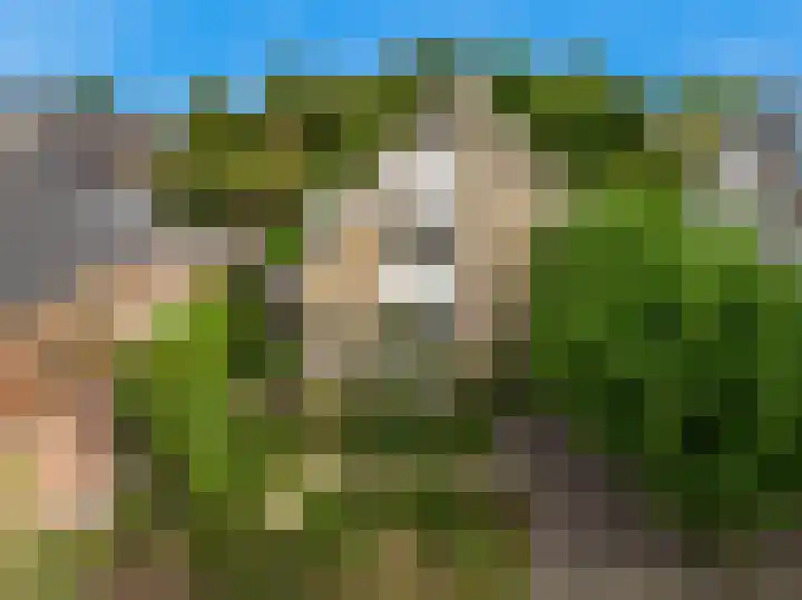 Zuiderhout 28 Blokker thumbnail 56
