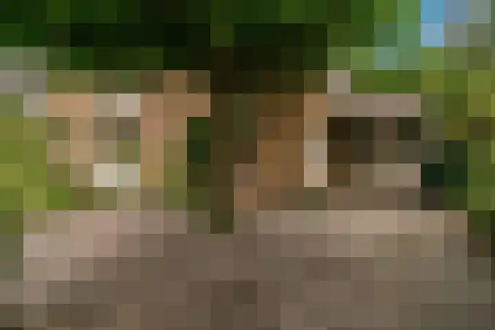 Zuiderhout 28 Blokker thumbnail 57