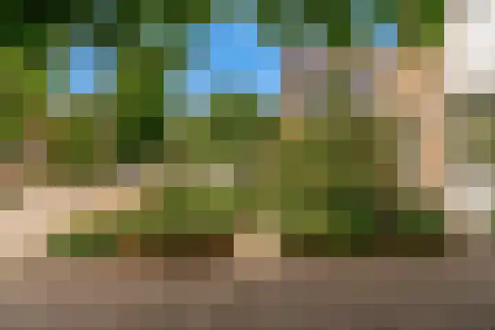 Zuiderhout 28 Blokker thumbnail 60