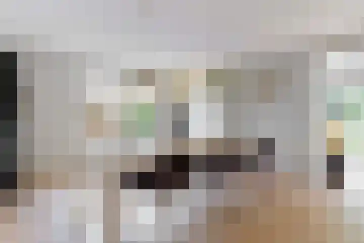 Zuiderhout 28 Blokker thumbnail 9