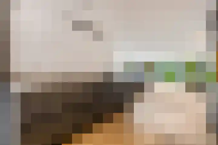 Zuiderhout 3 Ede thumbnail 10
