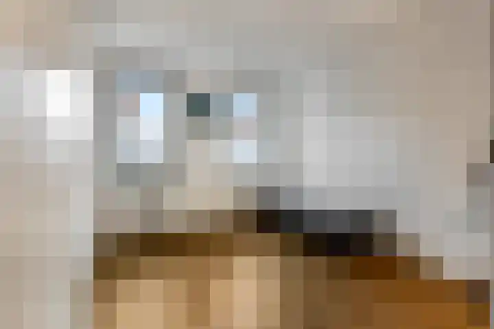 Zuiderhout 3 Ede thumbnail 26
