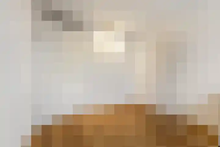 Zuiderhout 3 Ede thumbnail 28