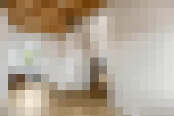 Zuiderhout 3 Ede thumbnail 34