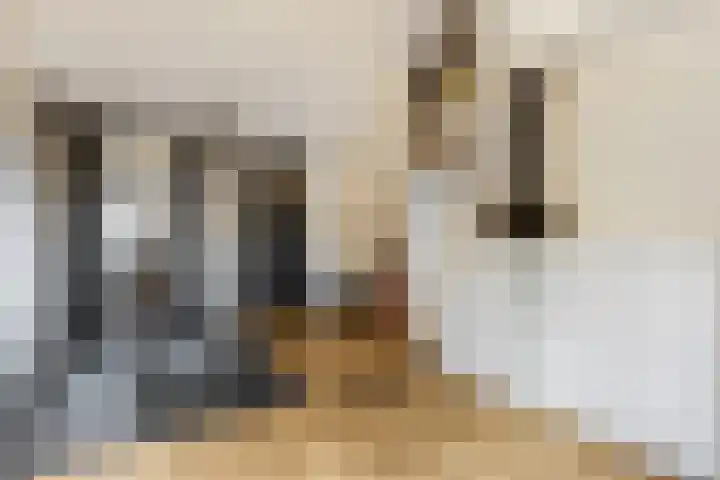 Zuiderhout 3 Ede thumbnail 36