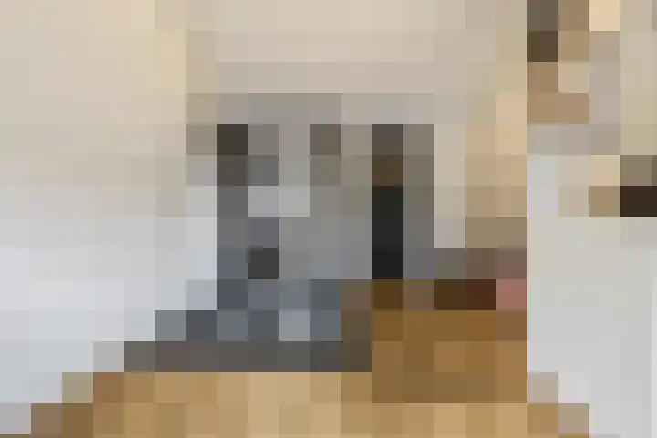 Zuiderhout 3 Ede thumbnail 37