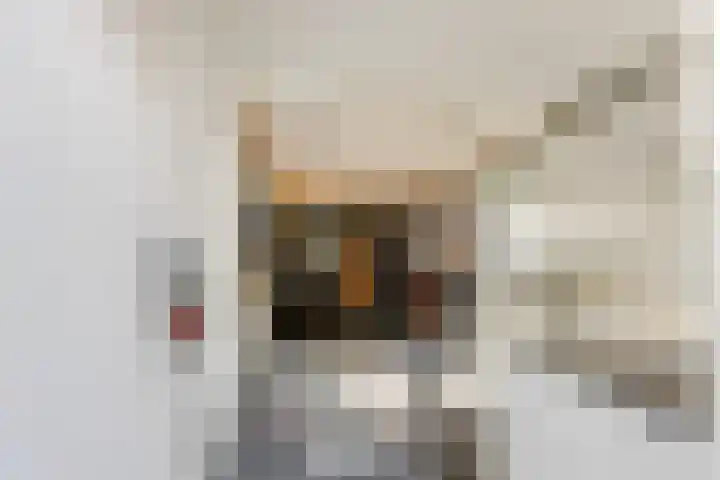 Zuiderhout 3 Ede thumbnail 40