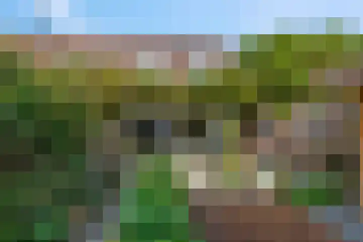 Zuiderhout 3 Ede thumbnail 41