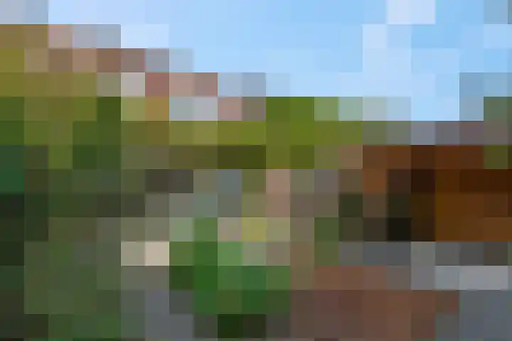Zuiderhout 3 Ede thumbnail 42