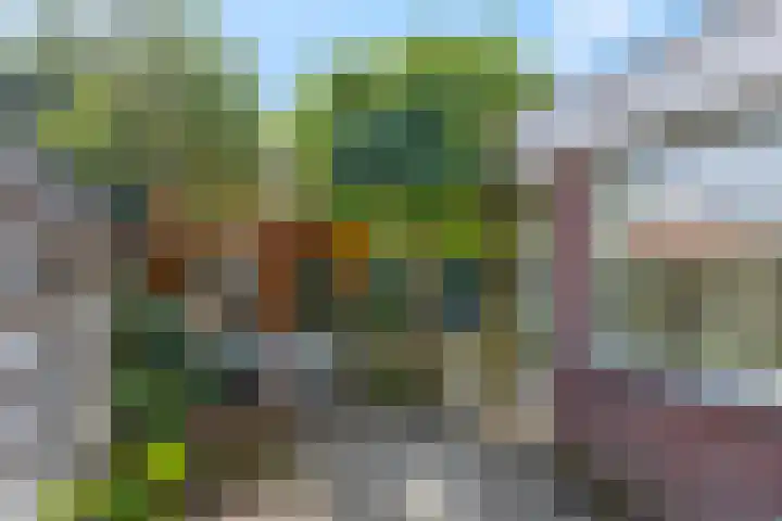 Zuiderhout 3 Ede thumbnail 43