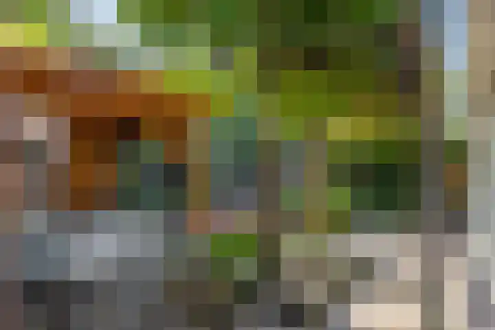 Zuiderhout 3 Ede thumbnail 45