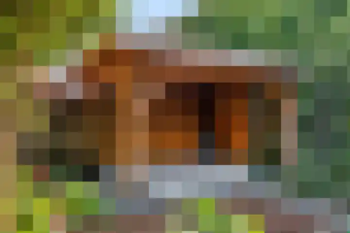 Zuiderhout 3 Ede thumbnail 46