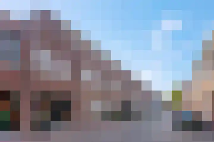 Zuiderhout 3 Ede thumbnail 51