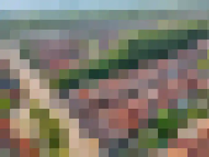 Zuiderhout 3 Ede thumbnail 57