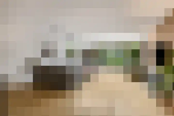Zuiderhout 3 Ede thumbnail 6
