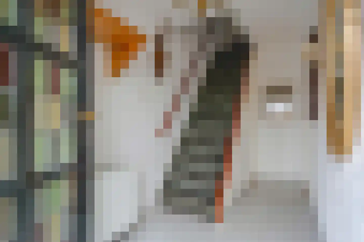 Zuiderkade 14 Blokzijl thumbnail 13