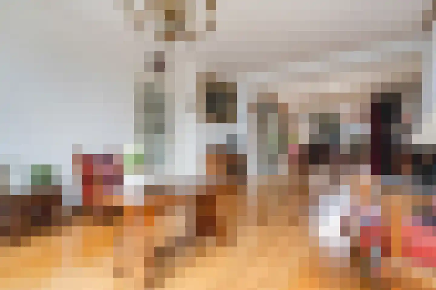 Zuiderkade 14 Blokzijl thumbnail 18