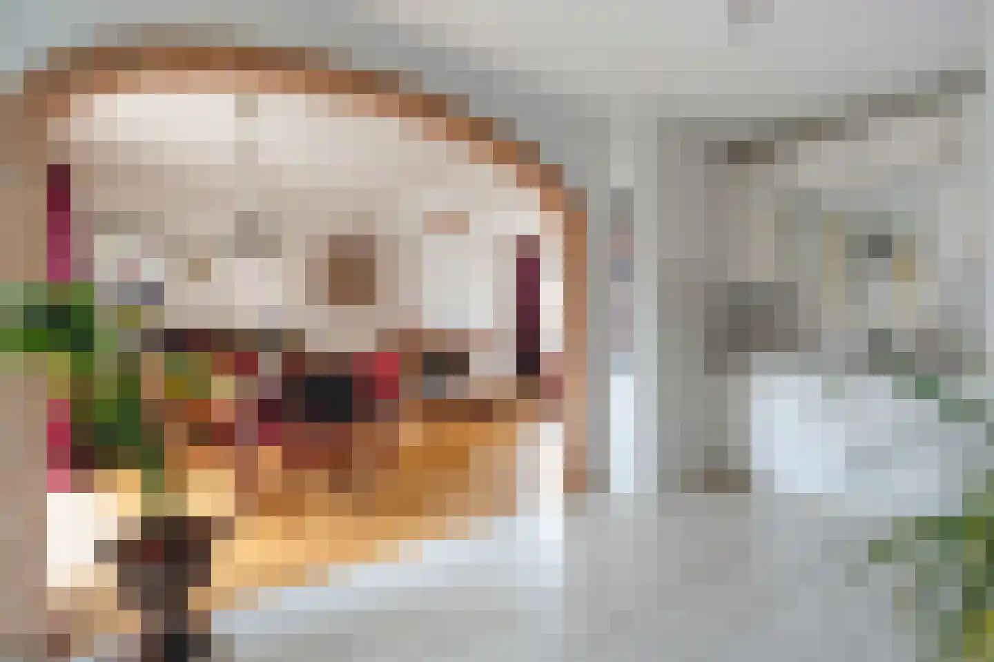 Zuiderkade 14 Blokzijl thumbnail 24