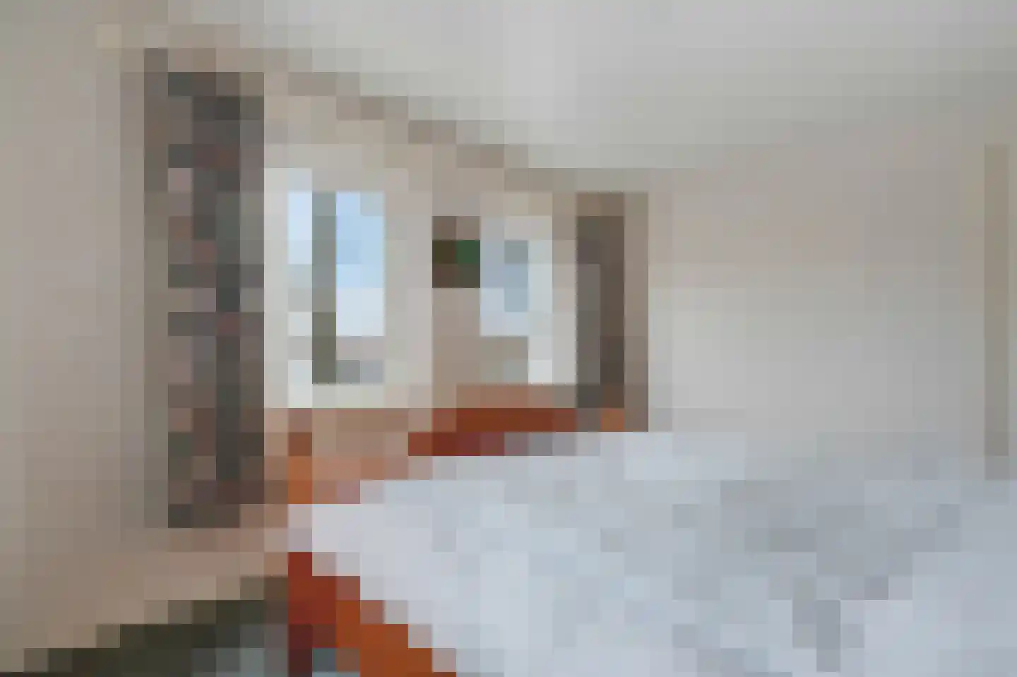Zuiderkade 14 Blokzijl thumbnail 37