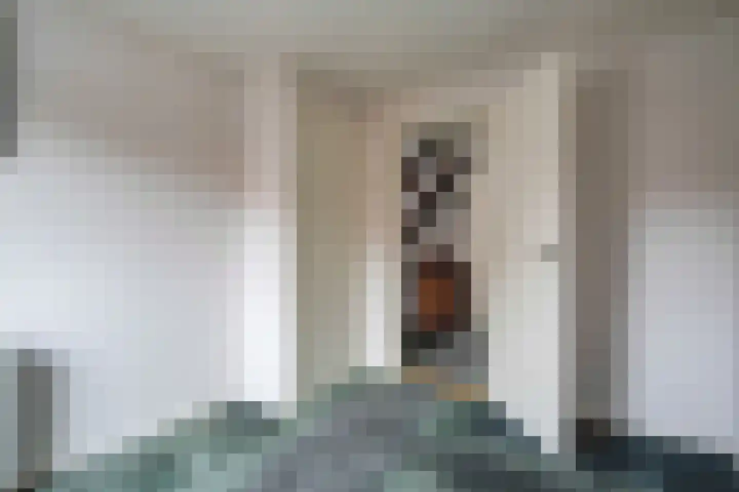 Zuiderkade 14 Blokzijl thumbnail 40