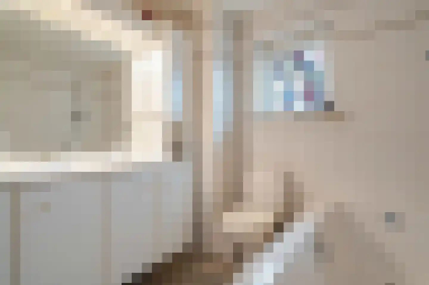 Zuiderkade 14 Blokzijl thumbnail 44