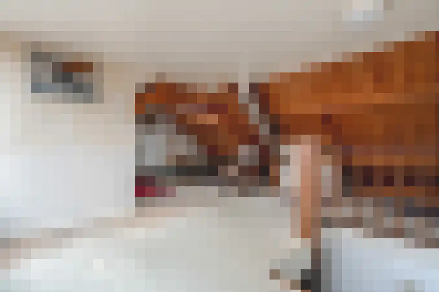 Zuiderkade 14 Blokzijl thumbnail 46