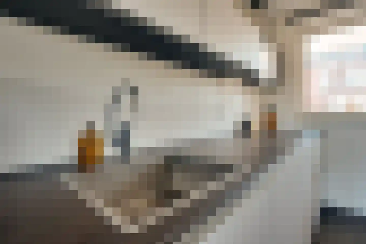 Zuiderkade 18 Assen thumbnail 10