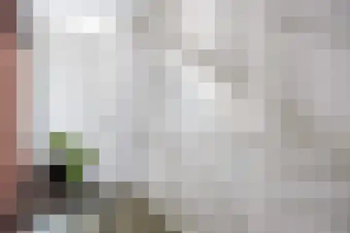 Zuiderkade 3 Assen thumbnail 32
