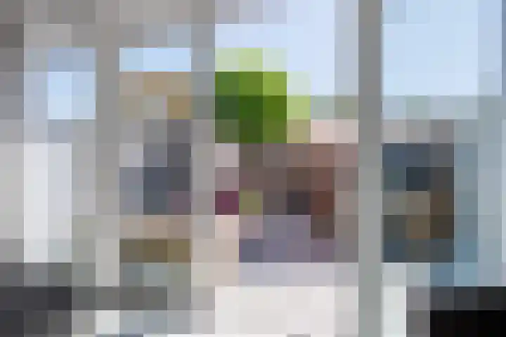 Zuiderkade 3 Assen thumbnail 50