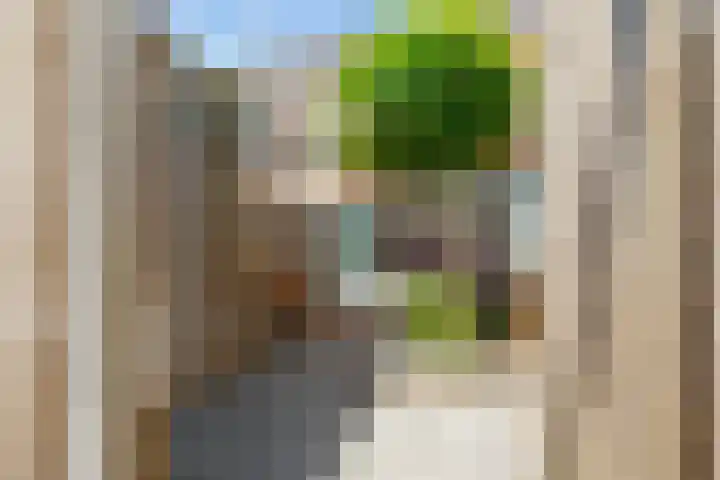 Zuiderkade 3 Assen thumbnail 55