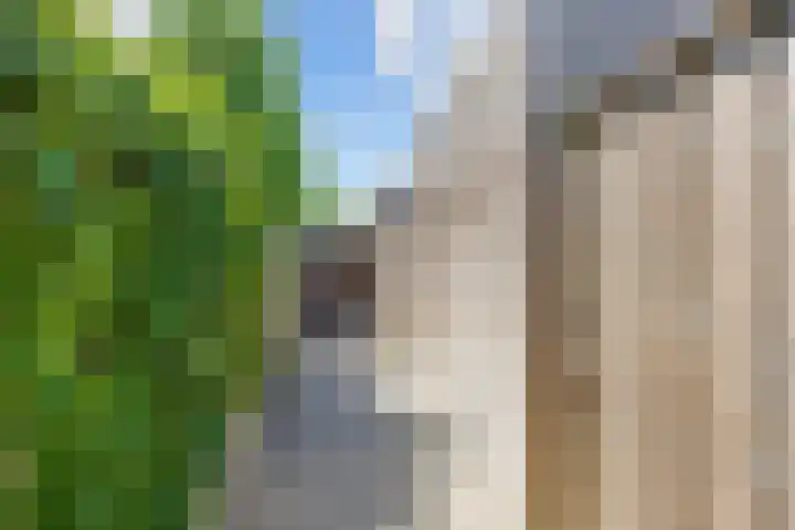 Zuiderkade 3 Assen thumbnail 57