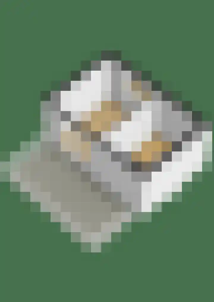 Zuiderkade 3 Assen thumbnail 66