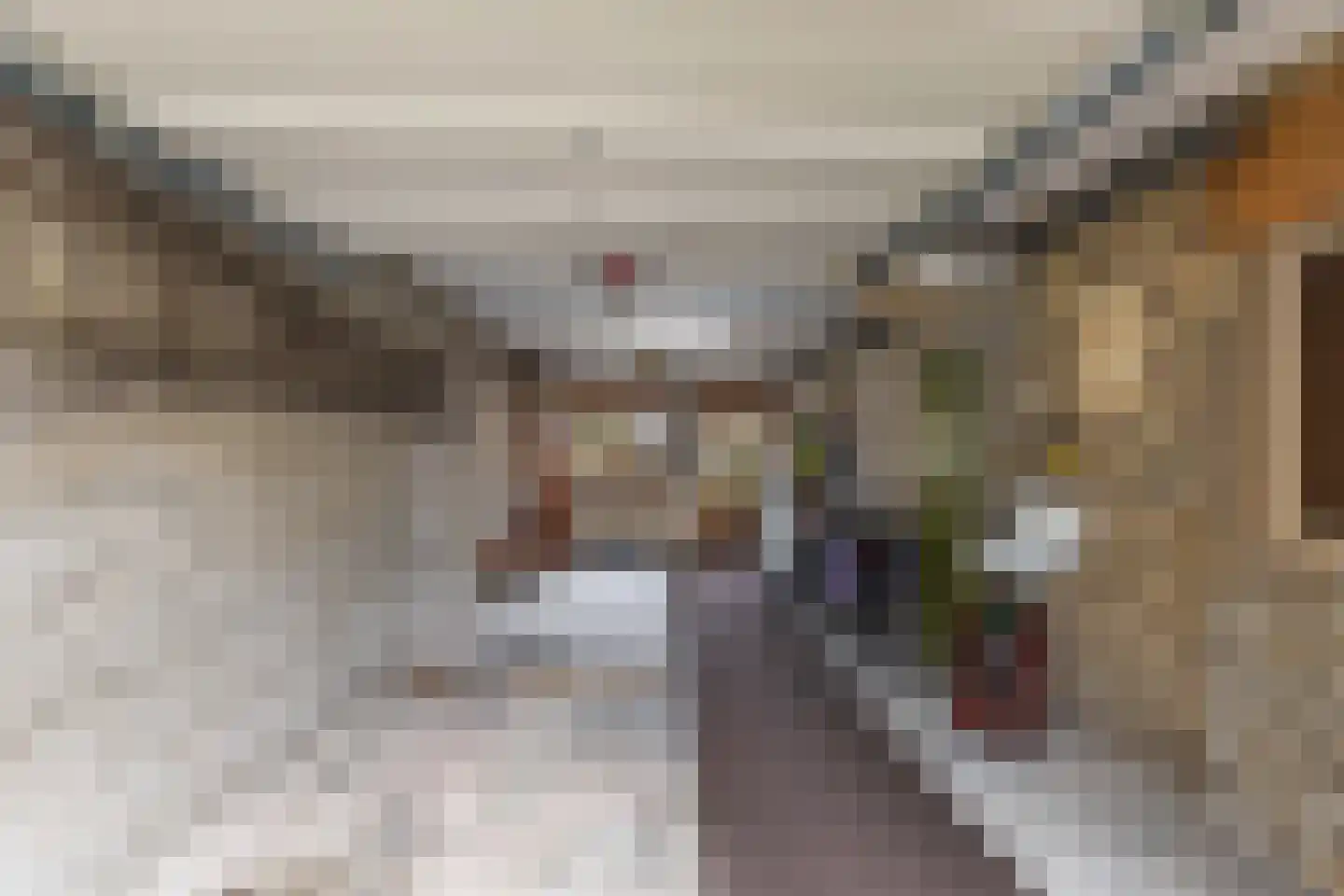 Zuiderkade 39 B Franeker thumbnail 37