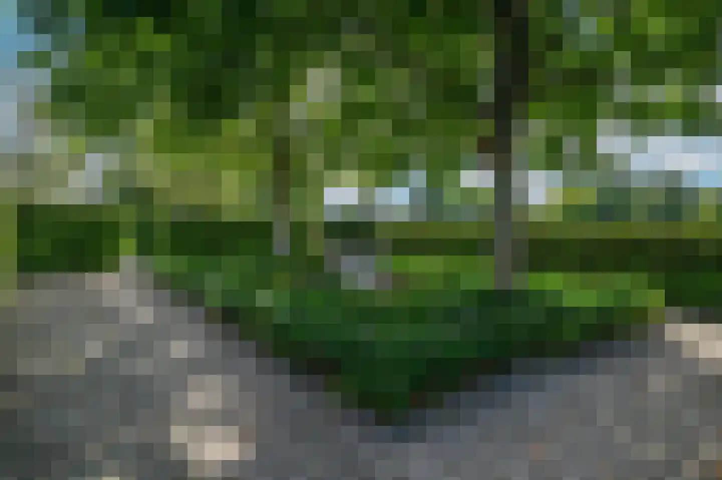 Zuiderkade 43 Ede thumbnail 11