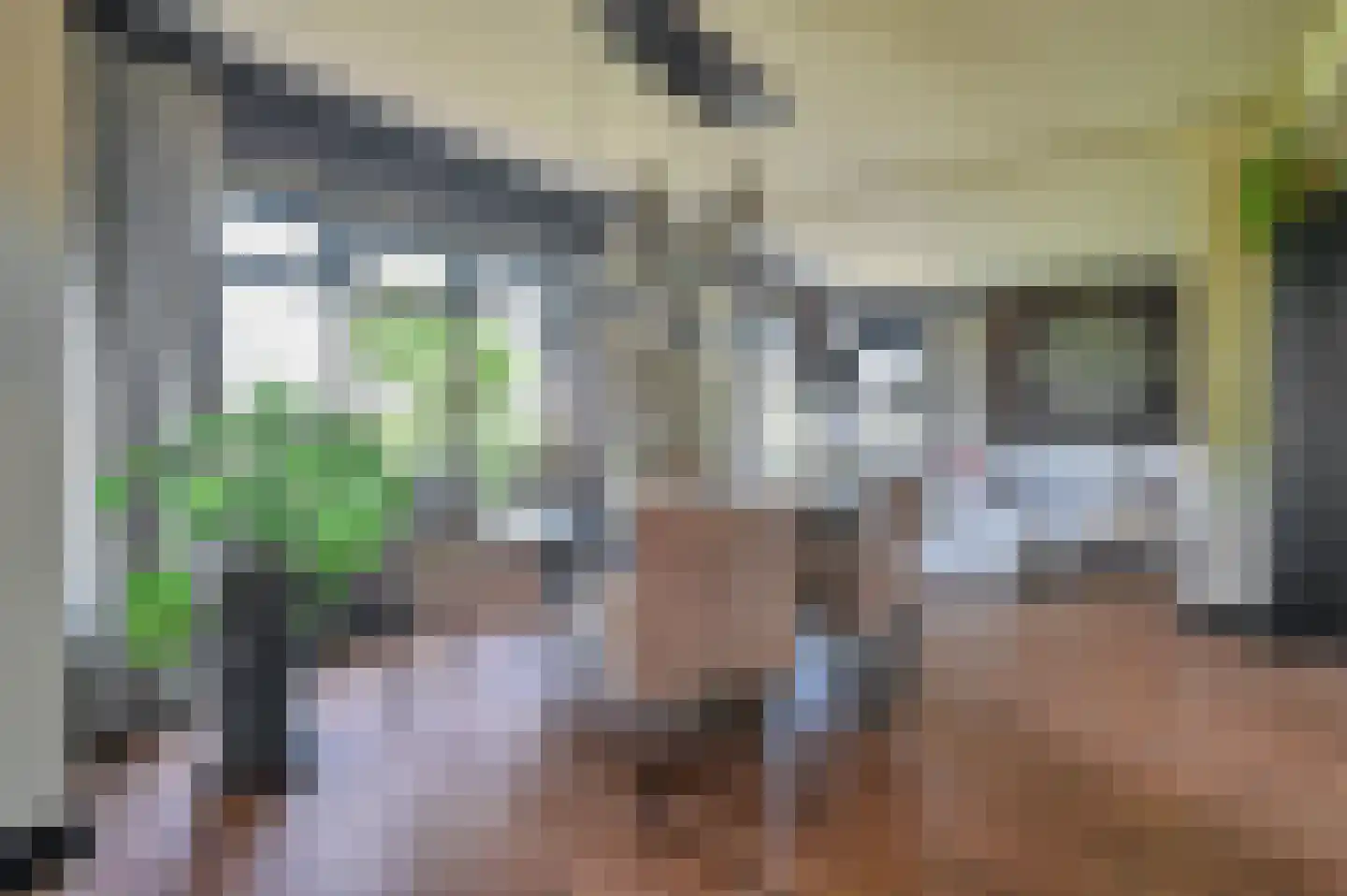 Zuiderkade 43 Ede thumbnail 32