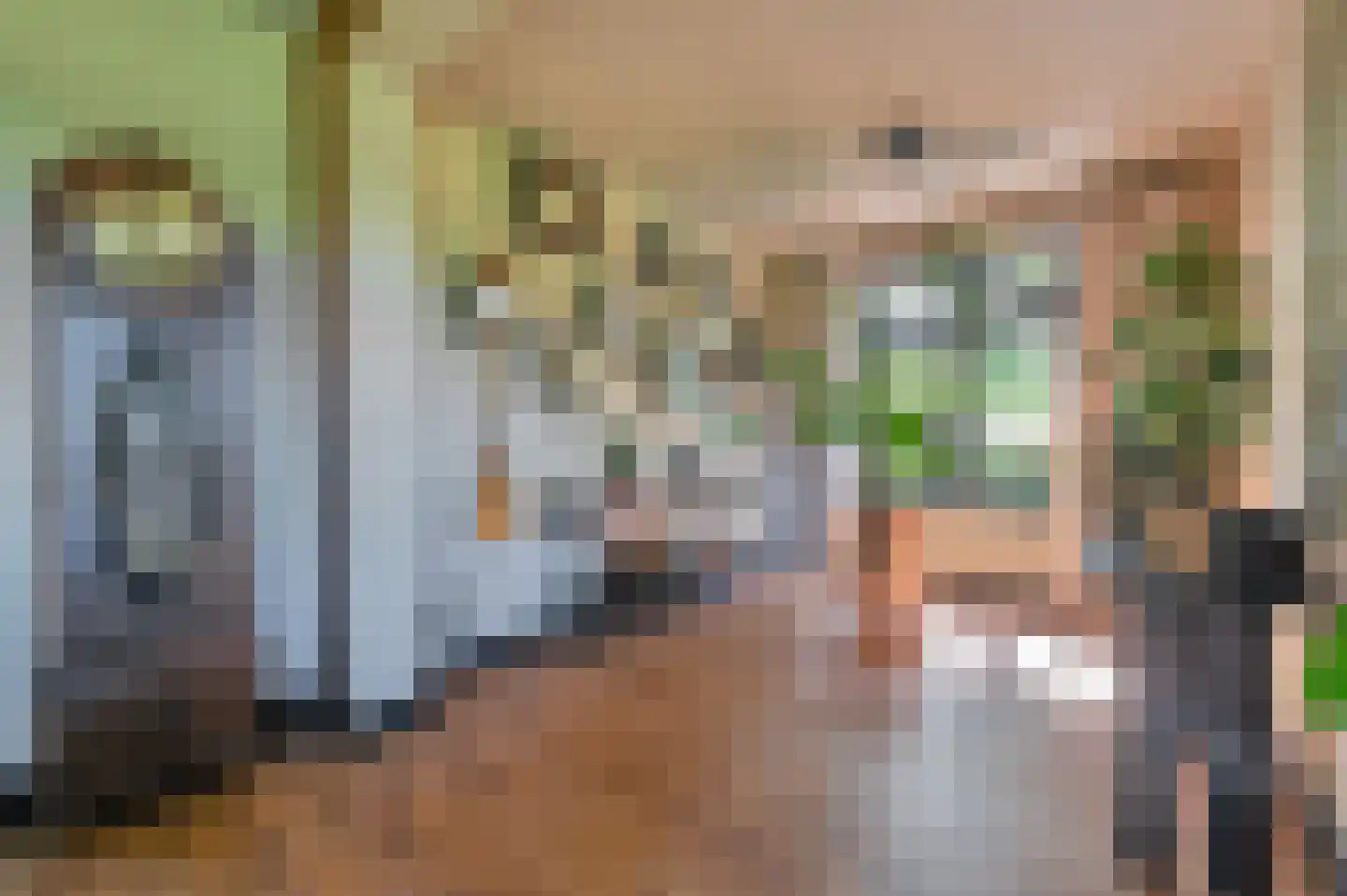 Zuiderkade 43 Ede thumbnail 36