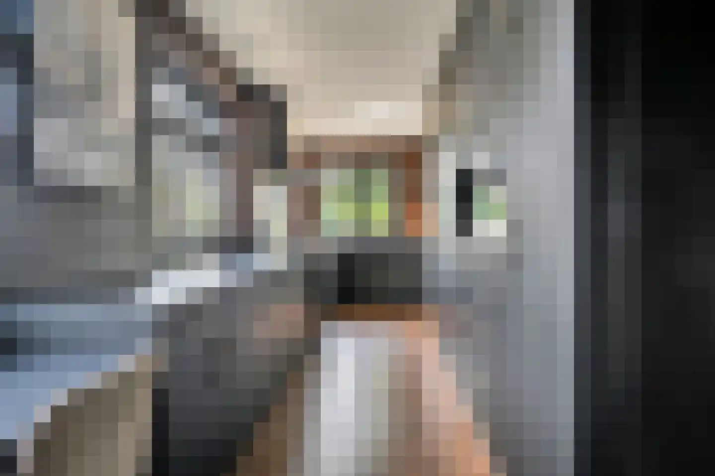 Zuiderkade 43 Ede thumbnail 37
