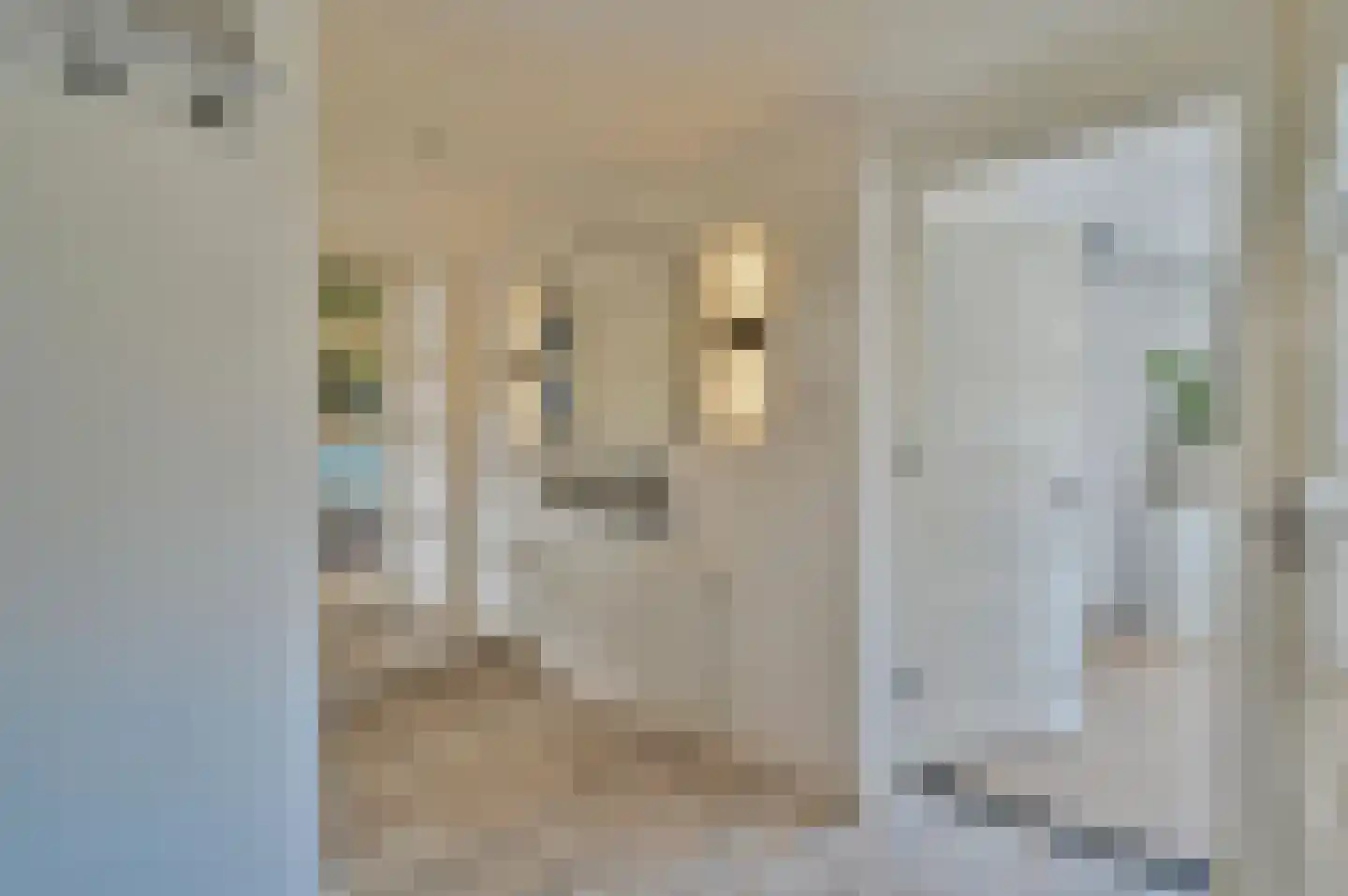 Zuiderkade 43 Ede thumbnail 43