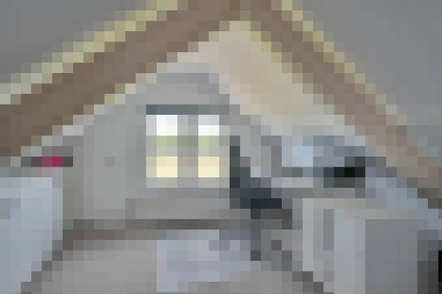 Zuiderkade 43 Ede thumbnail 52
