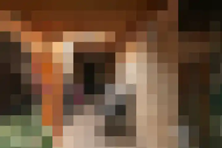 Zuiderkade 54 Franeker thumbnail 28