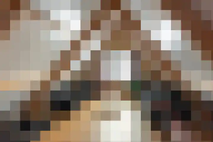 Zuiderkade 54 Franeker thumbnail 35